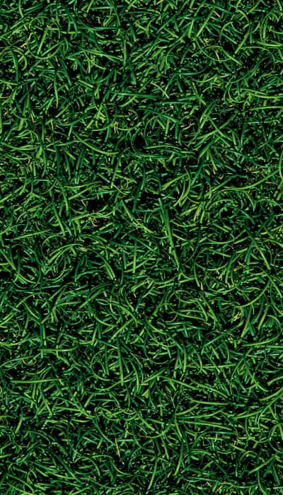 How Village Green Achieved Full Household Coverage with CTV success story background